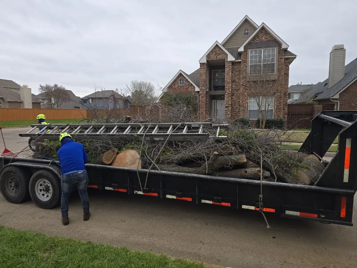 Expert Tree Pest Control with proper safety equipment in Chester Heights